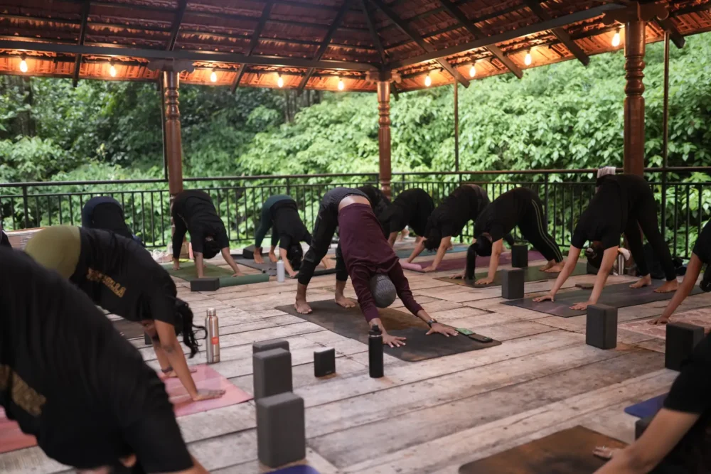 Best Yoga Classes in Kilpauk